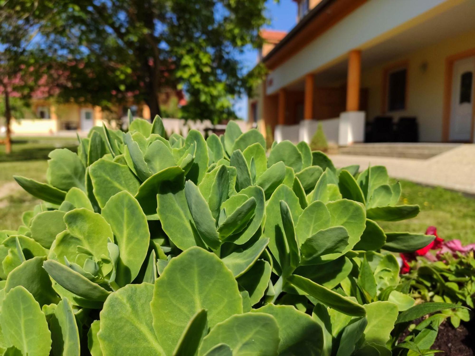 Ubytovanie Liska Radava Exterior foto